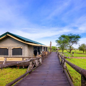 photocredit: tanzaniabushcamps