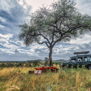 Serengeti Migration Camp_5
