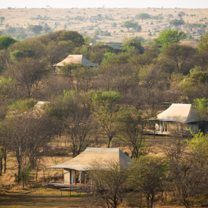 Sayari Camp Guest tents layout