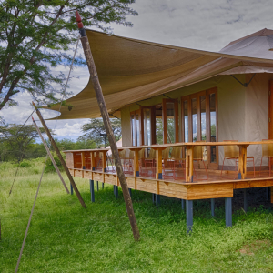 Sayari deck leading from the bar area