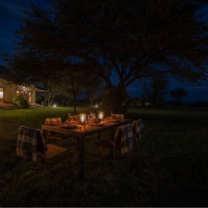 Sayari dinner under the stars