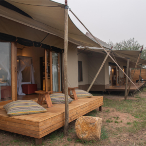 Sayari Family tent exterior view