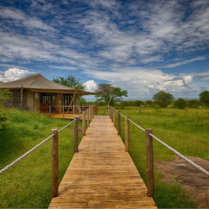 Sayari walkway to main area