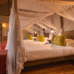 wetu_gallery__sayari_151