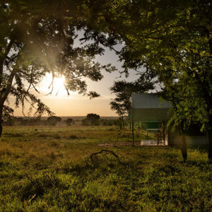 Kati Kati Camp Zelte