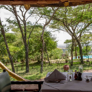 Ausblick auf Garten und Pool