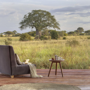 Landschaft Tarangire