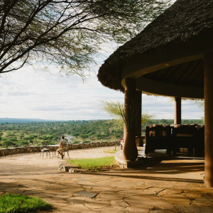 Terrasse mit Ausblick Tarangire