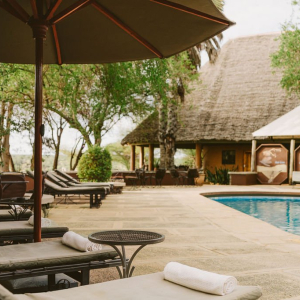 Poolbereich mit Liegen