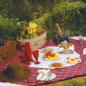 Picknick