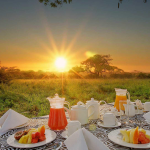 Bush Meal Sonnenaufgang