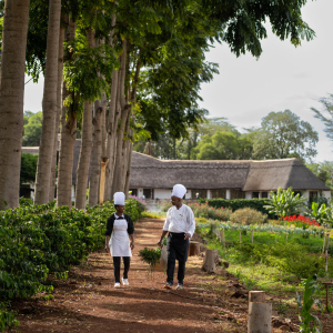 Ngorongoro Farm House Köche und Garten