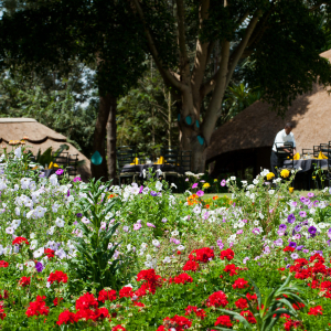 Ngorongoro Farm House Garten
