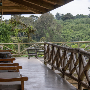 Rhino Lodge Terrasse