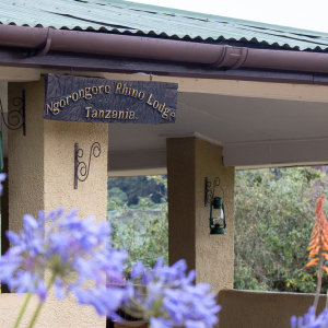 Rhino Lodge Eingang und Rezeption