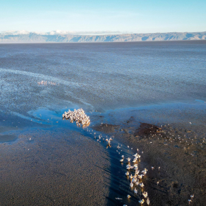 Kisima Ngeda Lake Eyasi
