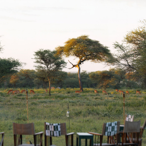 Wildtierbeobachtung vor der Unterkunft