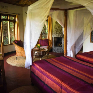 Bougaivellia Standard Raum