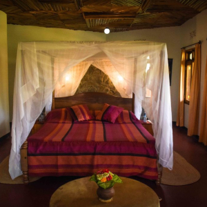 Bougaivellia Standard Raum