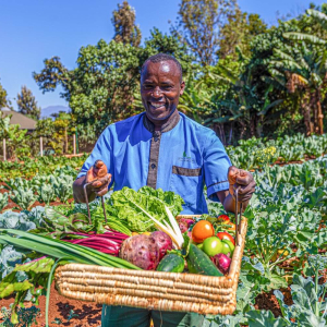 Farm der Lodge mit frischem Gemüse