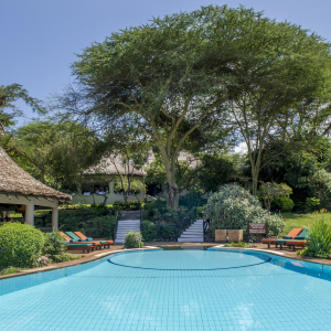 Poolbereich und Garten