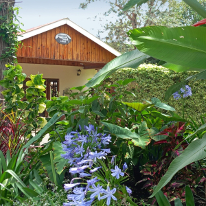 Eingang African View Lodge