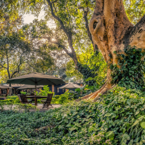 Garten mit Sitzgelegenheit