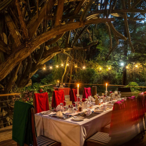 Abendessen auf der Terrasse