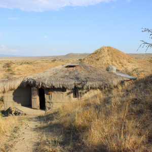 Bungalow Außenansicht