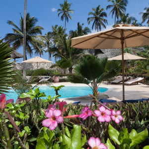 Garten & Poolbereich