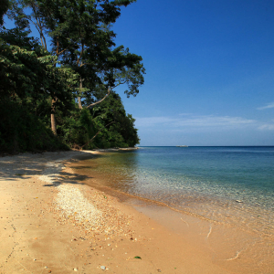 Seezugang Tanganyika