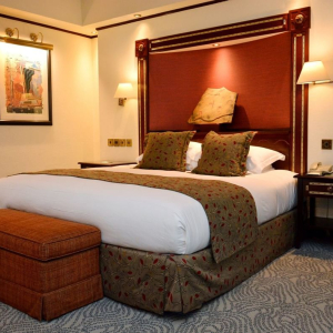 Superior Deluxe Room Standard