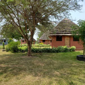 Gartenanlage und Lodges