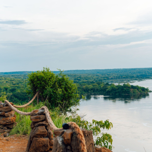 Ausblick Viktoria Nil