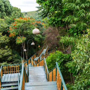 Zugang Unterkunft durch die grüne Landschaft