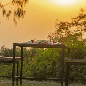 gedeckter Tisch im Busch