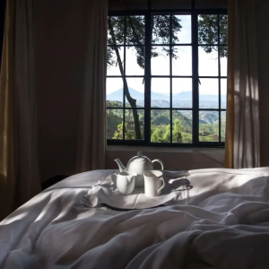 Tee und Kaffeegeschirr im Zimmer