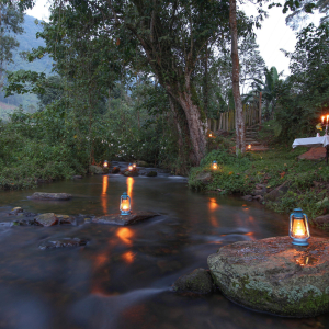 River Mahogany Springs