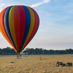 Ballon Safari