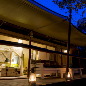 Forest Tent am Abend