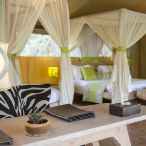 Forest Tent mit zwei Doppelbetten