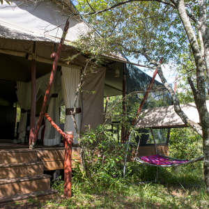 River Tent mit Hängematte