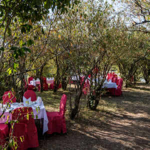 Mara Bush Frühstück