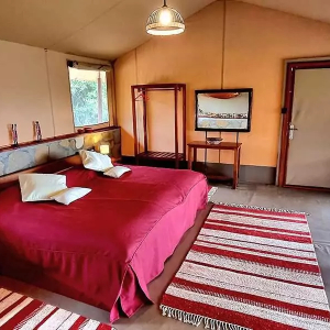 Deluxe Zelt Doppelbett