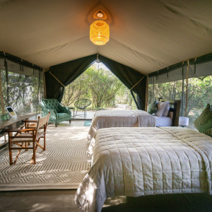 Deluxe Tent Wohnbereich