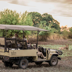 1755000488149game-drive-izla-photography-5