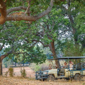 Tena Tena Activities 5