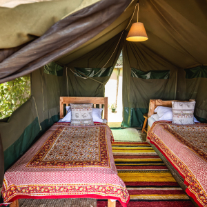 Zelt mit zwei Einzelbetten