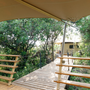 Hippo Giraffe Familienzelt