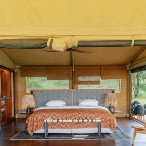 Jackal Familienzelt Doppelbett